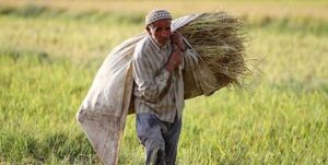 توزیع عادلانه تسهیلات بانکی