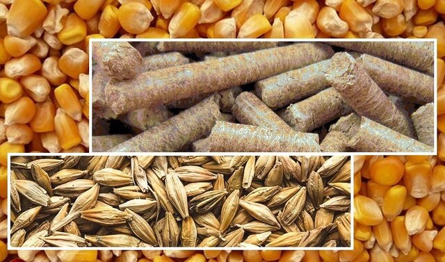 میزان واردات نهاده‌های دامی چقدر است؟