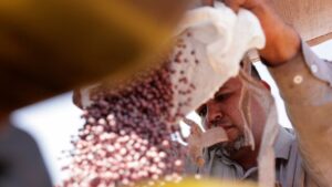 خیز سویاکاران برزیلی برای گرفتن بازار چین